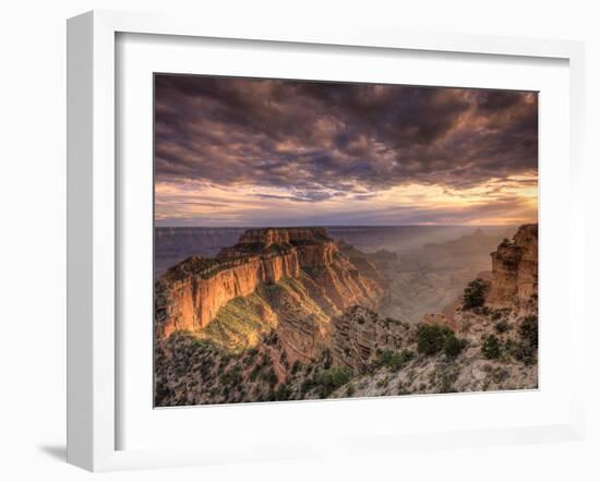 USA, Arizona, Grand Canyon National Park, North Rim, Cape Royale-Michele Falzone-Framed Photographic Print