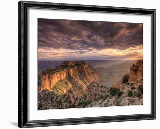 USA, Arizona, Grand Canyon National Park, North Rim, Cape Royale-Michele Falzone-Framed Photographic Print