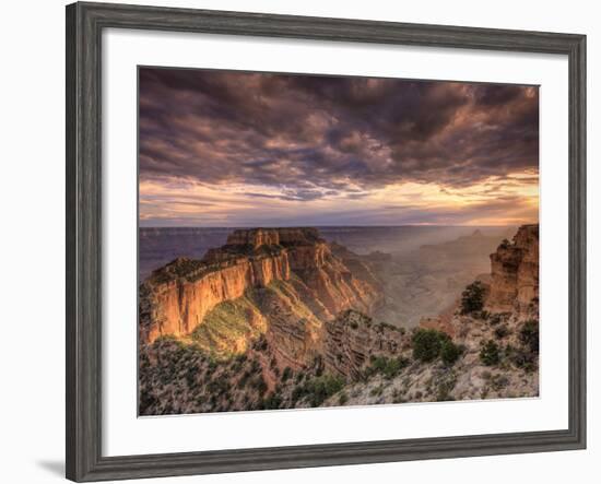 USA, Arizona, Grand Canyon National Park, North Rim, Cape Royale-Michele Falzone-Framed Photographic Print