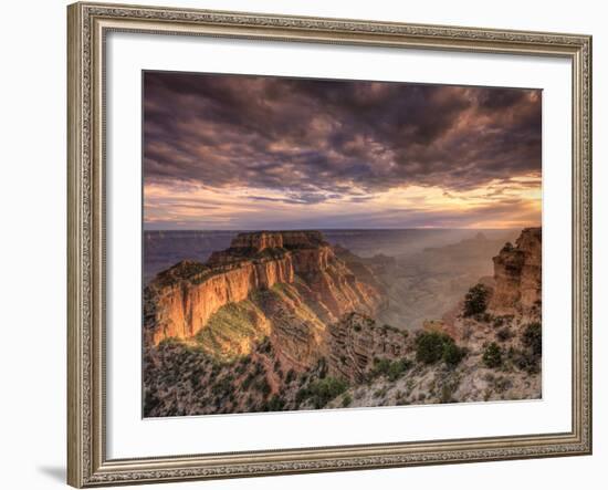 USA, Arizona, Grand Canyon National Park, North Rim, Cape Royale-Michele Falzone-Framed Photographic Print