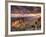 USA, Arizona, Grand Canyon National Park, North Rim, Cape Royale-Michele Falzone-Framed Photographic Print