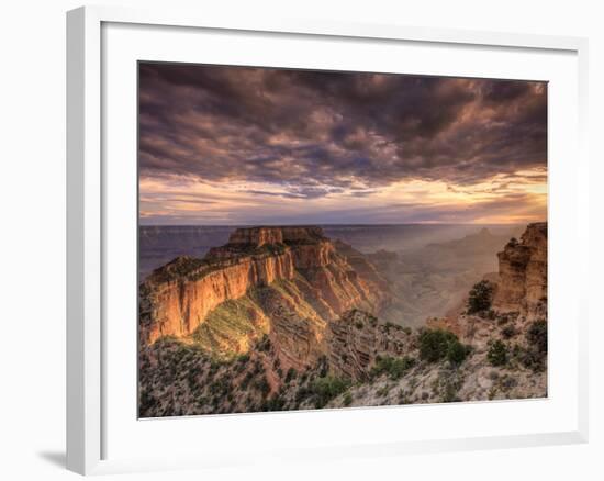 USA, Arizona, Grand Canyon National Park, North Rim, Cape Royale-Michele Falzone-Framed Photographic Print