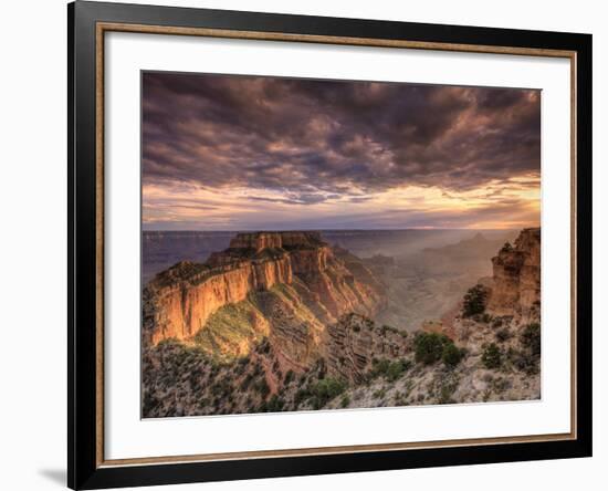 USA, Arizona, Grand Canyon National Park, North Rim, Cape Royale-Michele Falzone-Framed Photographic Print