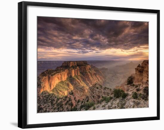 USA, Arizona, Grand Canyon National Park, North Rim, Cape Royale-Michele Falzone-Framed Photographic Print