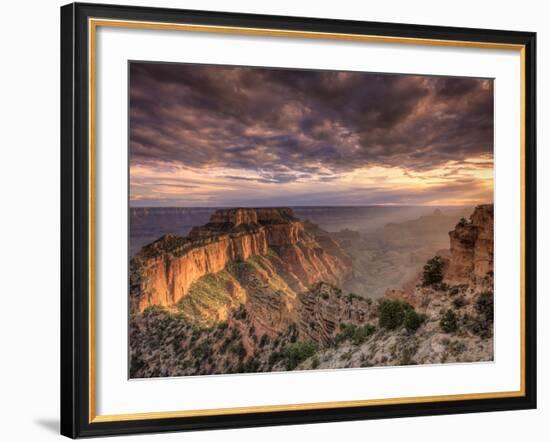 USA, Arizona, Grand Canyon National Park, North Rim, Cape Royale-Michele Falzone-Framed Photographic Print