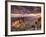 USA, Arizona, Grand Canyon National Park, North Rim, Cape Royale-Michele Falzone-Framed Photographic Print