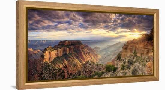 USA, Arizona, Grand Canyon National Park, North Rim, Cape Royale-Michele Falzone-Framed Premier Image Canvas