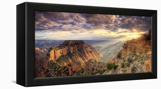 USA, Arizona, Grand Canyon National Park, North Rim, Cape Royale-Michele Falzone-Framed Premier Image Canvas