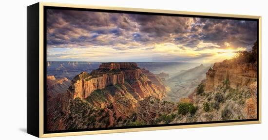 USA, Arizona, Grand Canyon National Park, North Rim, Cape Royale-Michele Falzone-Framed Premier Image Canvas