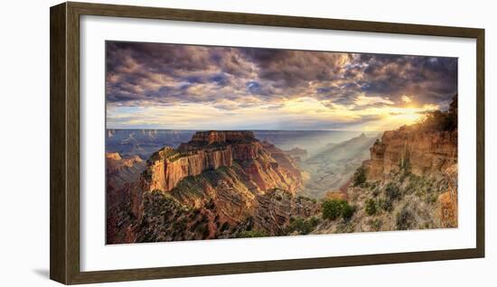 USA, Arizona, Grand Canyon National Park, North Rim, Cape Royale-Michele Falzone-Framed Photographic Print