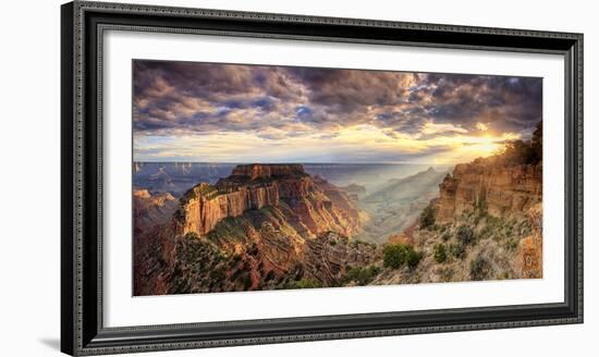 USA, Arizona, Grand Canyon National Park, North Rim, Cape Royale-Michele Falzone-Framed Photographic Print