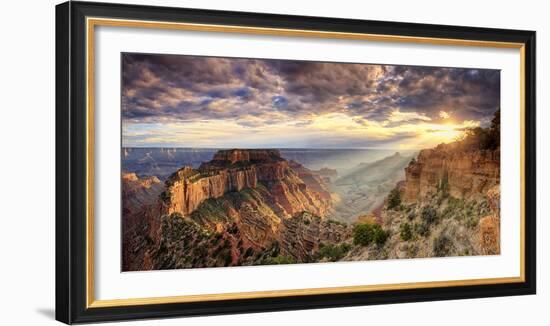 USA, Arizona, Grand Canyon National Park, North Rim, Cape Royale-Michele Falzone-Framed Photographic Print