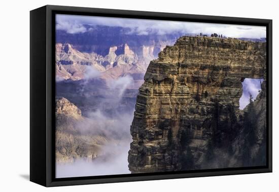 USA, Arizona, Grand Canyon National Park, North Rim-Ann Collins-Framed Premier Image Canvas