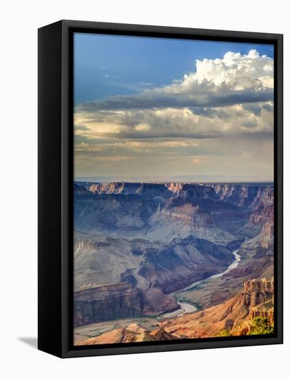 USA, Arizona, Grand Canyon National Park (South Rim), Colorado River from Desert View-Michele Falzone-Framed Premier Image Canvas