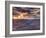 USA, Arizona, Grand Canyon National Park (South Rim), Colorado River from Mohave Point-Michele Falzone-Framed Photographic Print