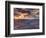 USA, Arizona, Grand Canyon National Park (South Rim), Colorado River from Mohave Point-Michele Falzone-Framed Photographic Print