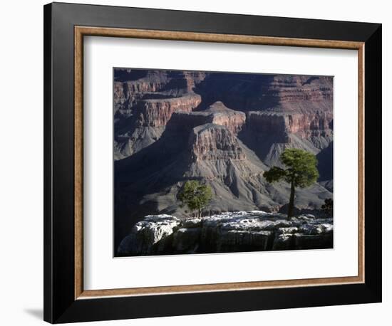 USA, Arizona, Grand Canyon National Park, South Rim, Grand Canyon-null-Framed Giclee Print