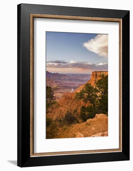 USA, Arizona, Grand Canyon National Park South Rim-Peter Hawkins-Framed Photographic Print