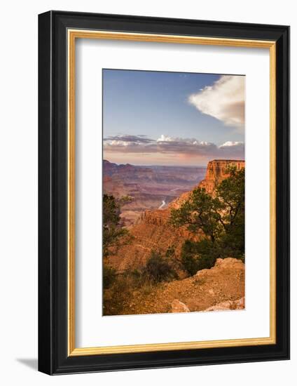 USA, Arizona, Grand Canyon National Park South Rim-Peter Hawkins-Framed Photographic Print