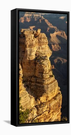 USA, Arizona, Grand Canyon National Park. Vertical Panorama at Mather Point on the South Rim-Ann Collins-Framed Premier Image Canvas