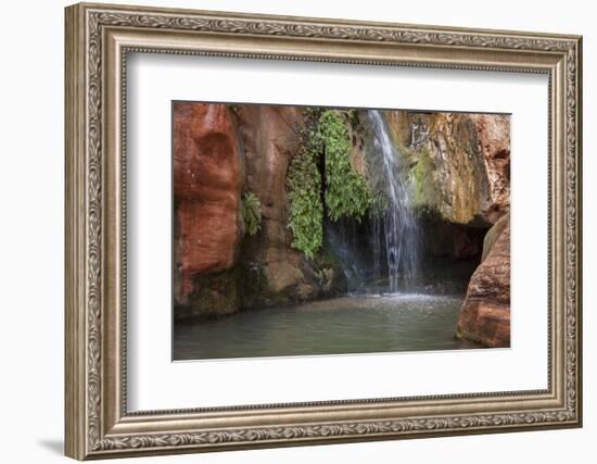 USA, Arizona, Grand Canyon National Park. View of Elves Chasm-Don Grall-Framed Photographic Print