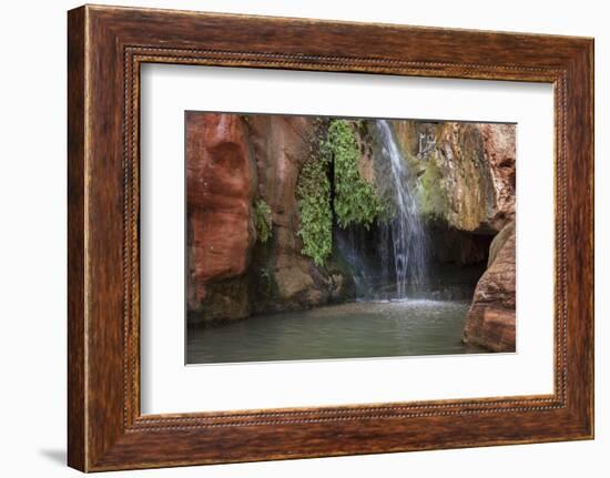 USA, Arizona, Grand Canyon National Park. View of Elves Chasm-Don Grall-Framed Photographic Print