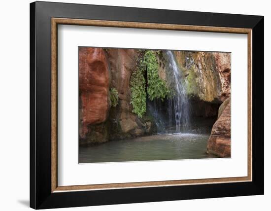 USA, Arizona, Grand Canyon National Park. View of Elves Chasm-Don Grall-Framed Photographic Print