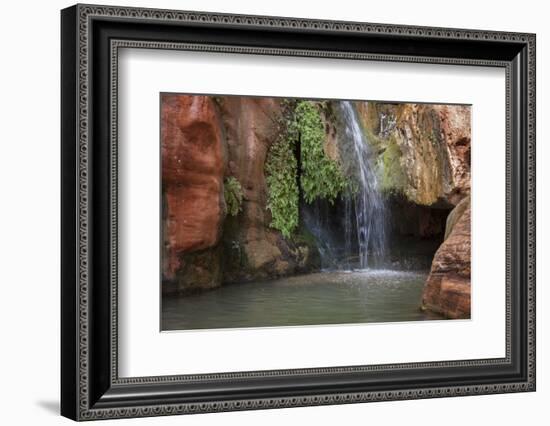 USA, Arizona, Grand Canyon National Park. View of Elves Chasm-Don Grall-Framed Photographic Print