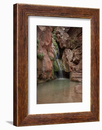 USA, Arizona, Grand Canyon National Park. Waterfall at Elves Chasm-Don Grall-Framed Photographic Print