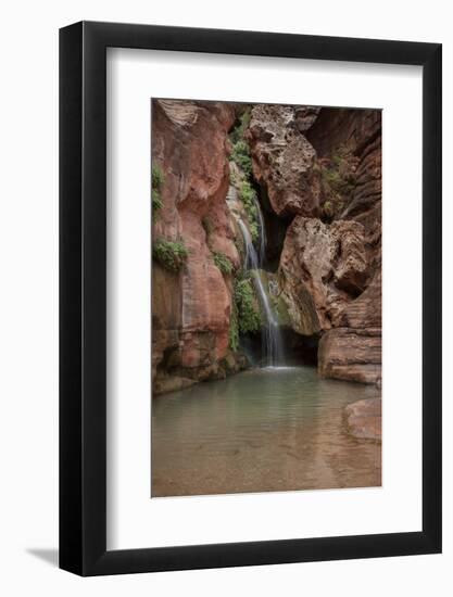 USA, Arizona, Grand Canyon National Park. Waterfall at Elves Chasm-Don Grall-Framed Photographic Print