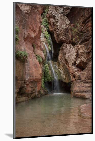 USA, Arizona, Grand Canyon National Park. Waterfall at Elves Chasm-Don Grall-Mounted Photographic Print
