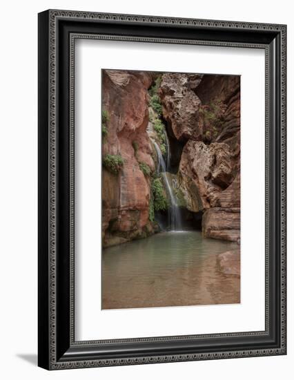 USA, Arizona, Grand Canyon National Park. Waterfall at Elves Chasm-Don Grall-Framed Photographic Print