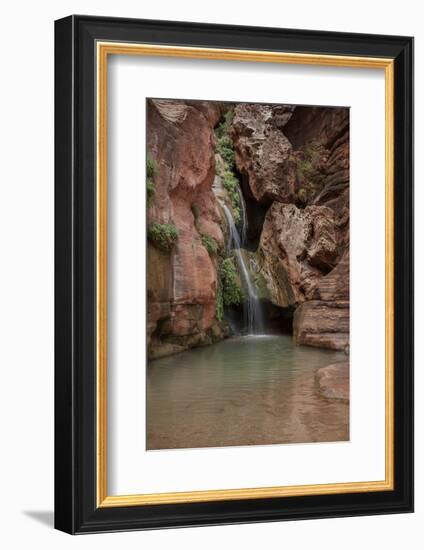 USA, Arizona, Grand Canyon National Park. Waterfall at Elves Chasm-Don Grall-Framed Photographic Print