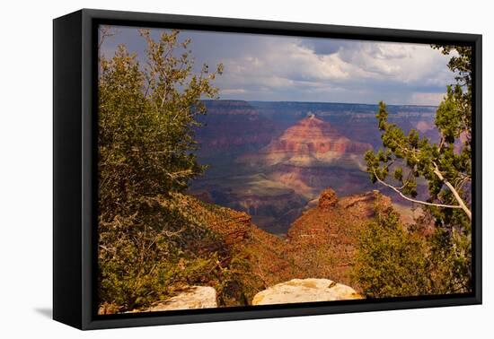 USA, Arizona, Grand Canyon National Park-Peter Hawkins-Framed Premier Image Canvas