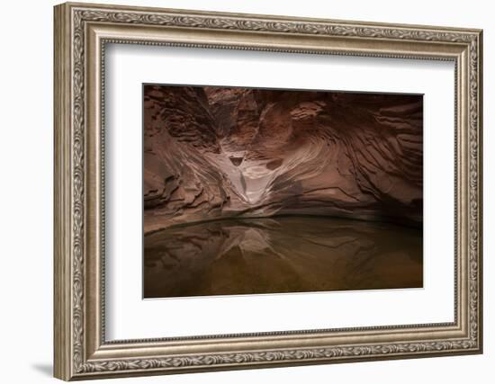 USA, Arizona, Grand Canyon NP. Sandstone Reflected in Pool-Don Grall-Framed Photographic Print