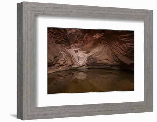 USA, Arizona, Grand Canyon NP. Sandstone Reflected in Pool-Don Grall-Framed Photographic Print