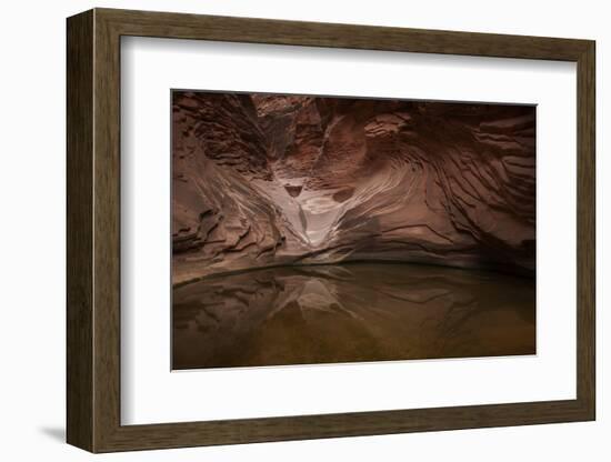USA, Arizona, Grand Canyon NP. Sandstone Reflected in Pool-Don Grall-Framed Photographic Print