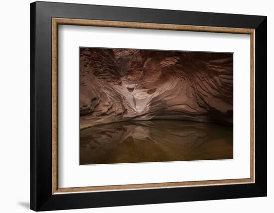 USA, Arizona, Grand Canyon NP. Sandstone Reflected in Pool-Don Grall-Framed Photographic Print