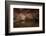 USA, Arizona, Grand Canyon NP. Sandstone Reflected in Pool-Don Grall-Framed Photographic Print