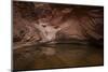 USA, Arizona, Grand Canyon NP. Sandstone Reflected in Pool-Don Grall-Mounted Photographic Print