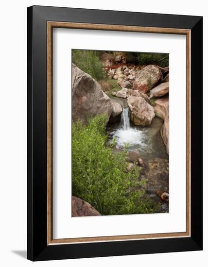 USA, Arizona, Grand Canyon NP. View of Deer Creek waterfall and pool-Don Grall-Framed Photographic Print