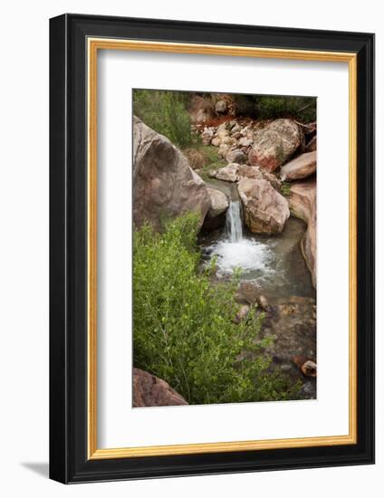 USA, Arizona, Grand Canyon NP. View of Deer Creek waterfall and pool-Don Grall-Framed Photographic Print