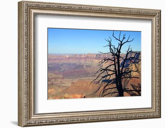 USA, Arizona, Grand Canyon. the Grand Canyon, View from the South Rim-Kymri Wilt-Framed Photographic Print