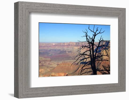 USA, Arizona, Grand Canyon. the Grand Canyon, View from the South Rim-Kymri Wilt-Framed Photographic Print