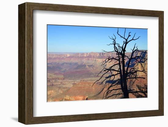 USA, Arizona, Grand Canyon. the Grand Canyon, View from the South Rim-Kymri Wilt-Framed Photographic Print