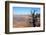 USA, Arizona, Grand Canyon. the Grand Canyon, View from the South Rim-Kymri Wilt-Framed Photographic Print