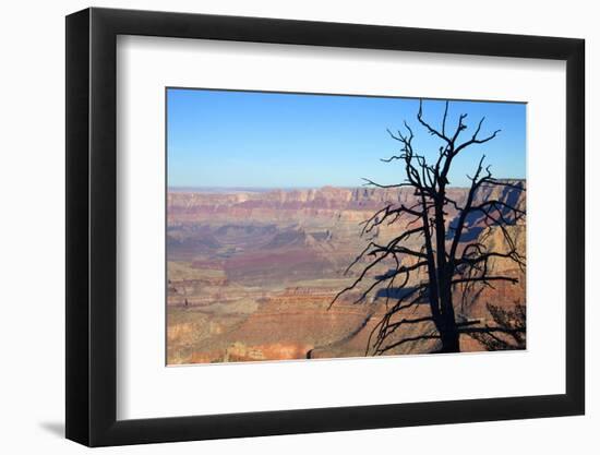 USA, Arizona, Grand Canyon. the Grand Canyon, View from the South Rim-Kymri Wilt-Framed Photographic Print