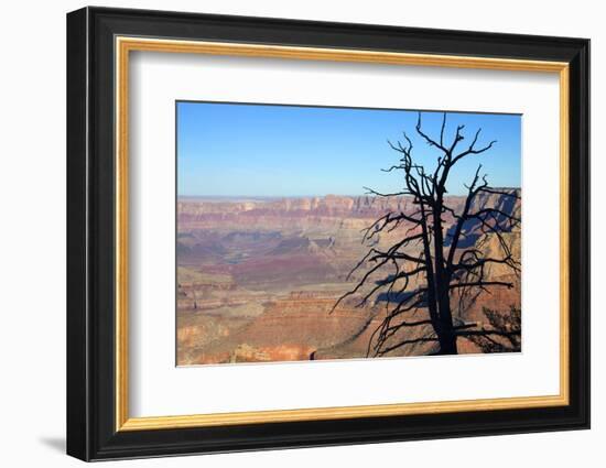 USA, Arizona, Grand Canyon. the Grand Canyon, View from the South Rim-Kymri Wilt-Framed Photographic Print