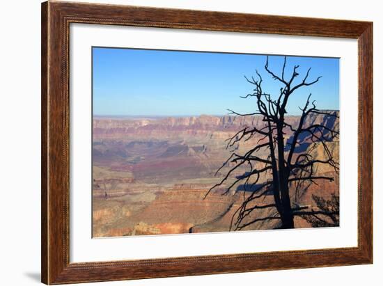 USA, Arizona, Grand Canyon. the Grand Canyon, View from the South Rim-Kymri Wilt-Framed Photographic Print