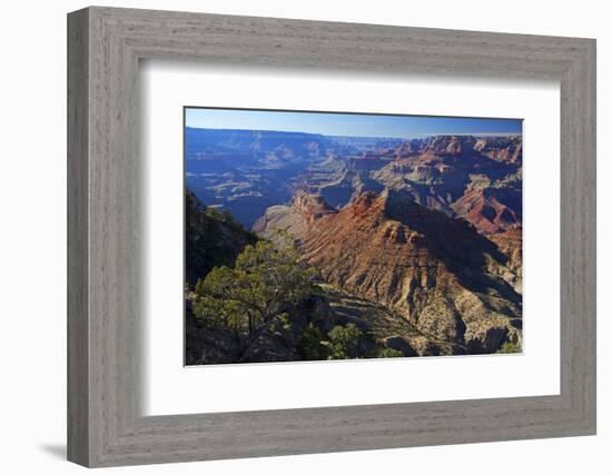 USA, Arizona, Grand Canyon Vista-Kymri Wilt-Framed Photographic Print